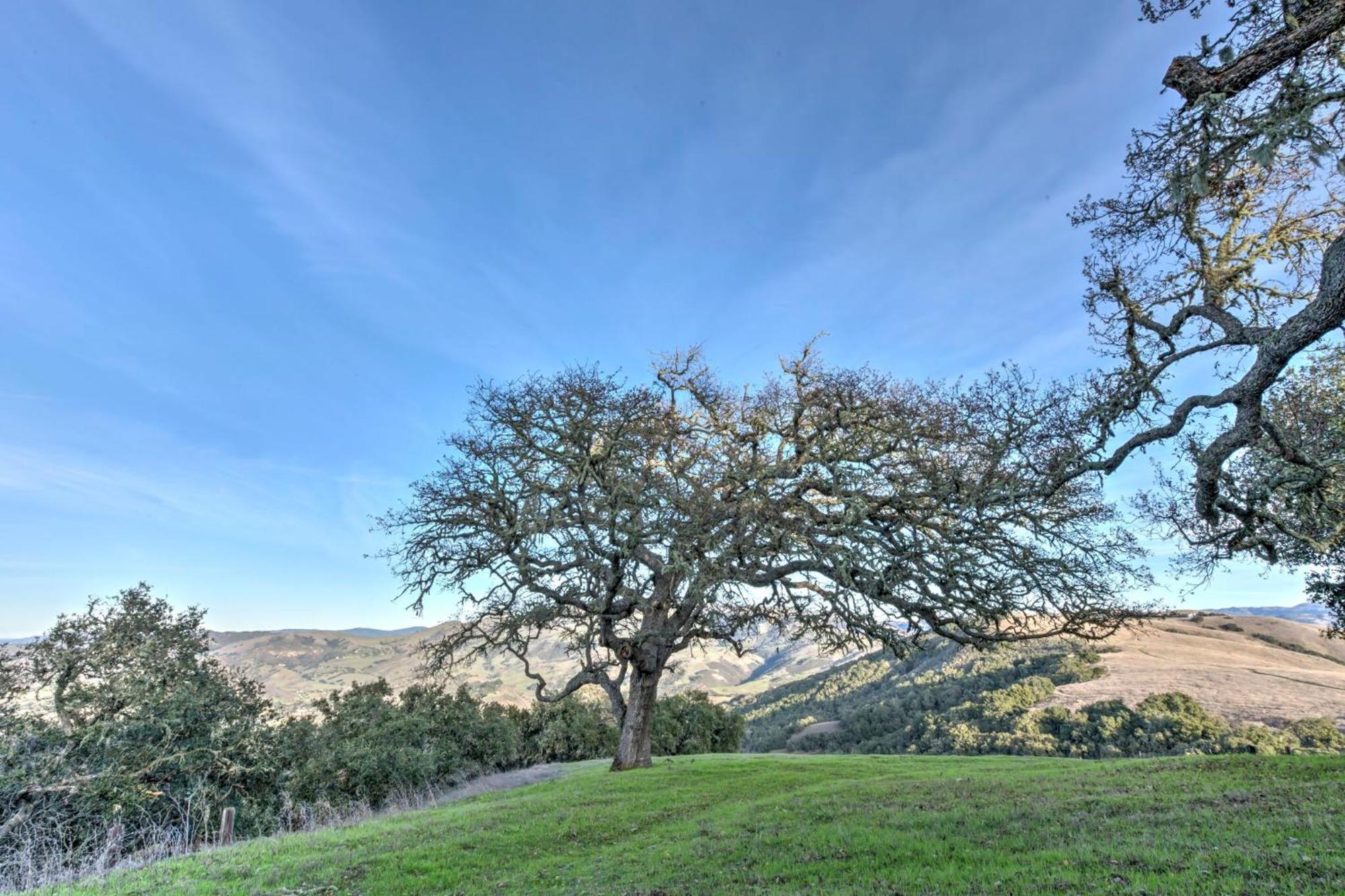 Lx37 Weathertop Ranch In Carmel Wine Country Carmel Valley Eksteriør billede